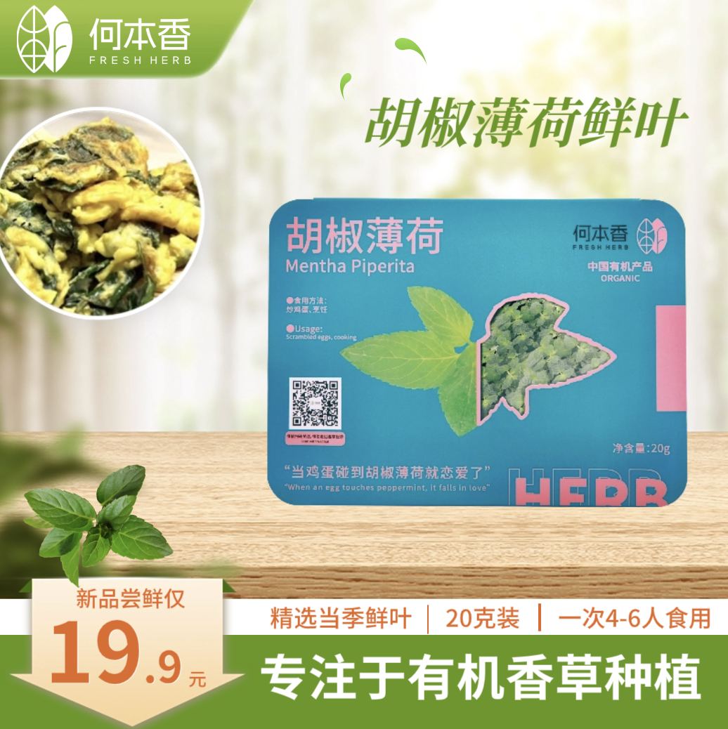 食用胡椒薄荷鲜叶