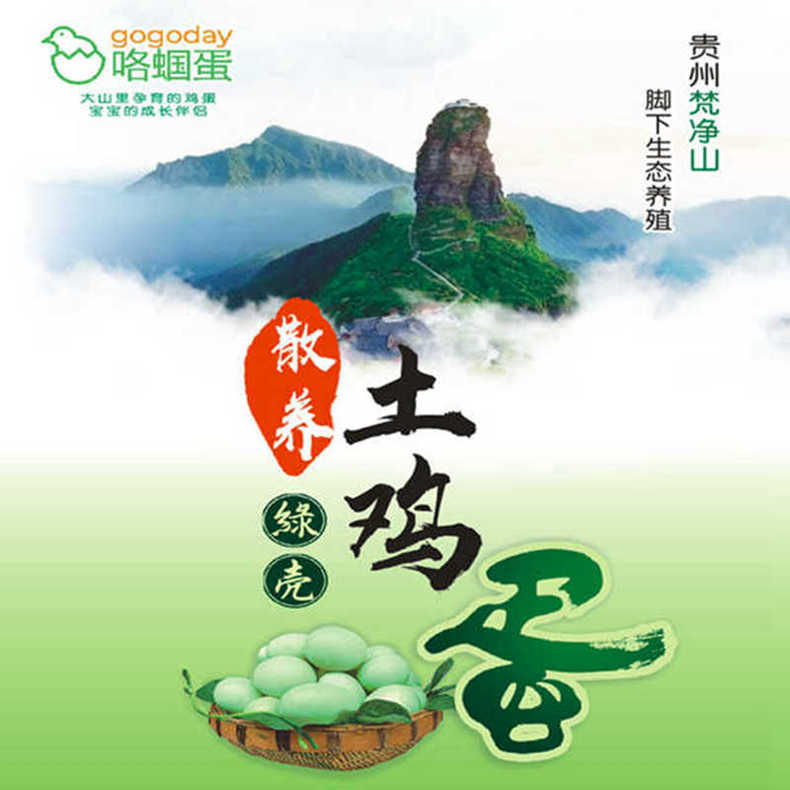 贵州梵净山散养鸡土鸡蛋绿壳咯蝈蛋30枚